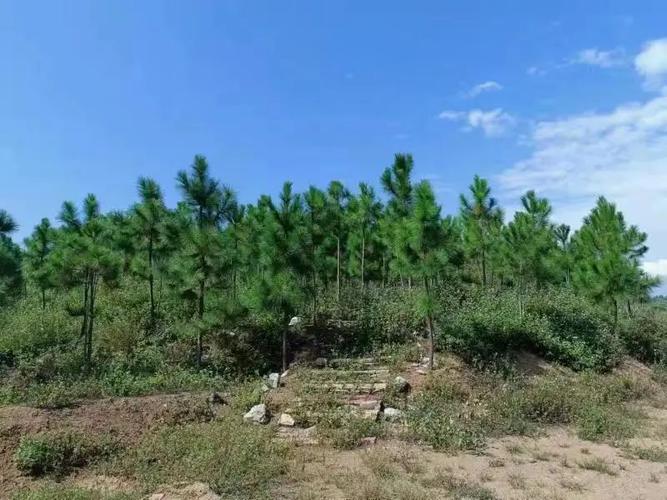 精神文明创建活动专栏丨文明城市:守护生态文明,开远有招!